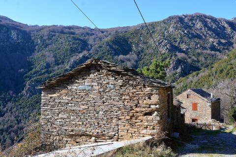 Campodonico