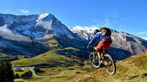 VTT
