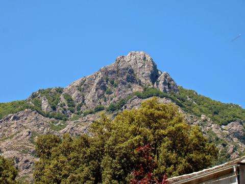Le san pedrone en Corse