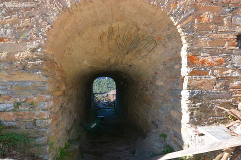 Campodonico
